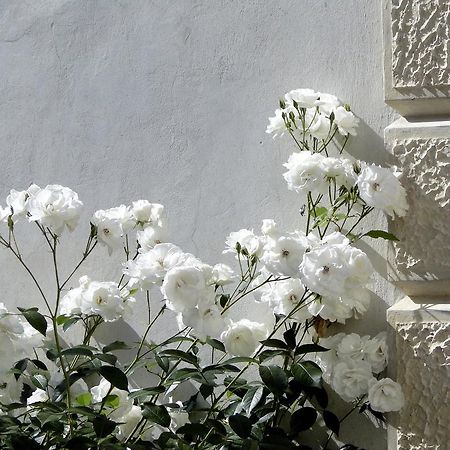 Villa Barberina Valdobbiadene Exterior foto